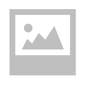 bizpost_ai